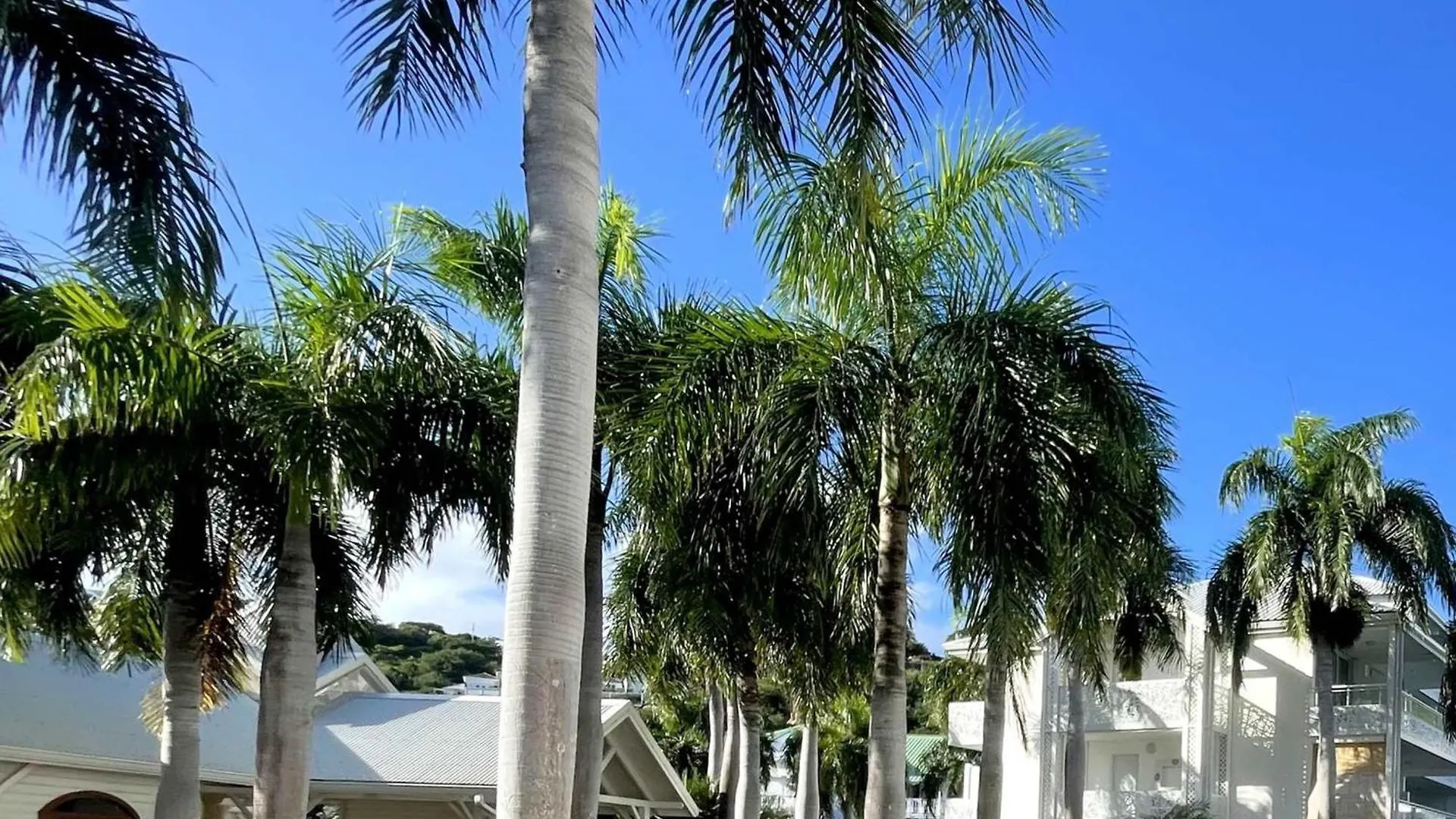 Studio Cosy A Anse Marcel Avec Terrasse Et Climatisation - Fr-1-734-47 Apartment